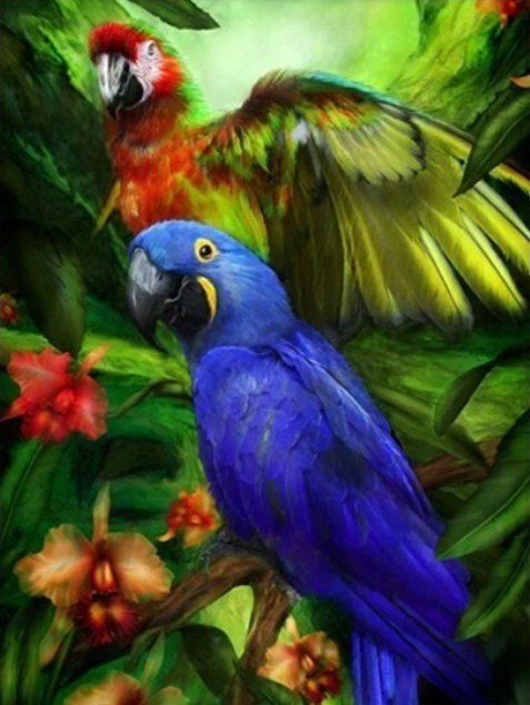 Tropical Birds Diamond Painting Kit