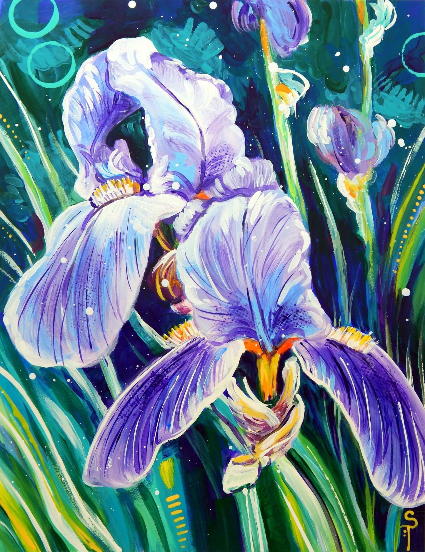 Violet Iris
