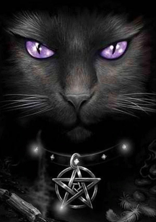 Wicked Cat Diamond Painting Kit