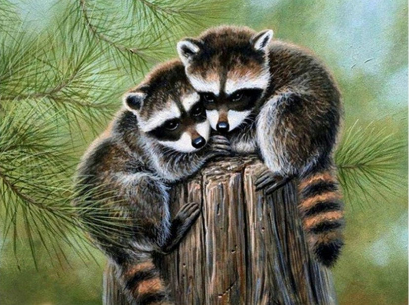 Wild Raccoons Paint by Diamonds
