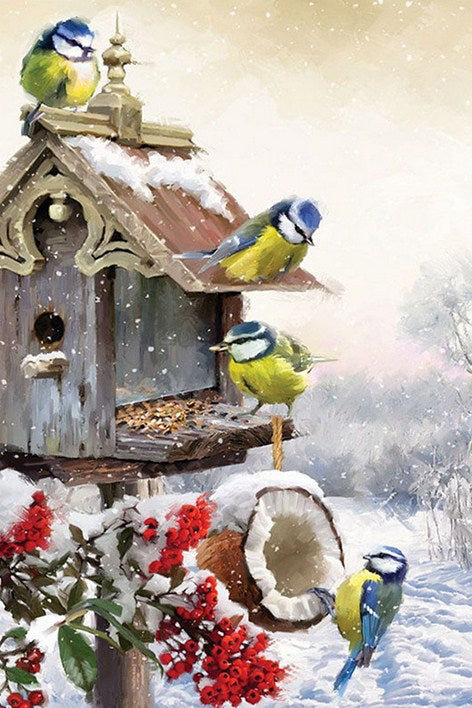 Winter birds & Their Little House Diamond Painting