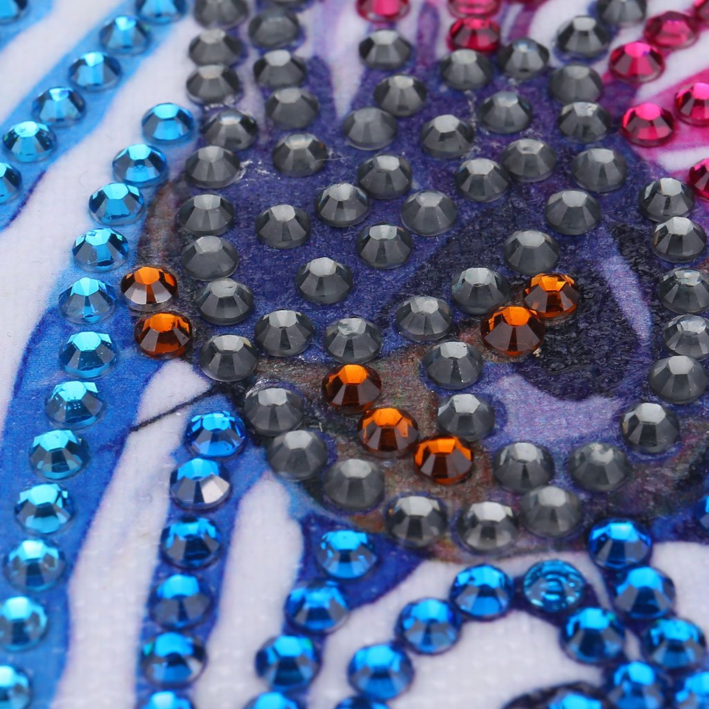 zebra Kleurrijk strepen - speciaal diamond painting