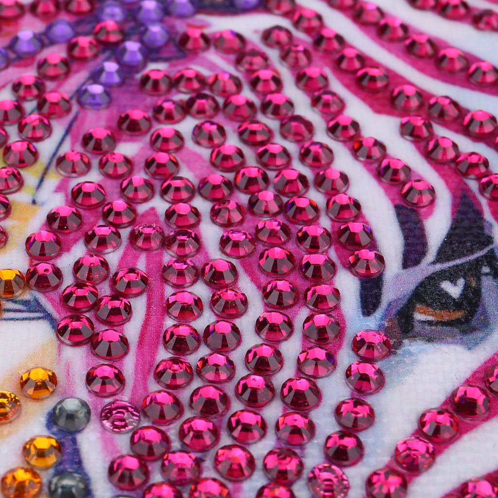 zebra Kleurrijk strepen - speciaal diamond painting