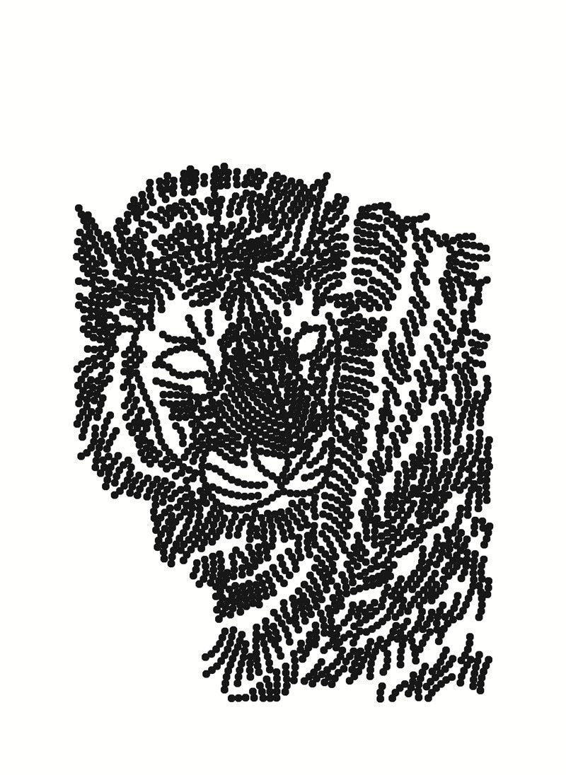 Prachtige wilde tijger - speciaal diamond painting