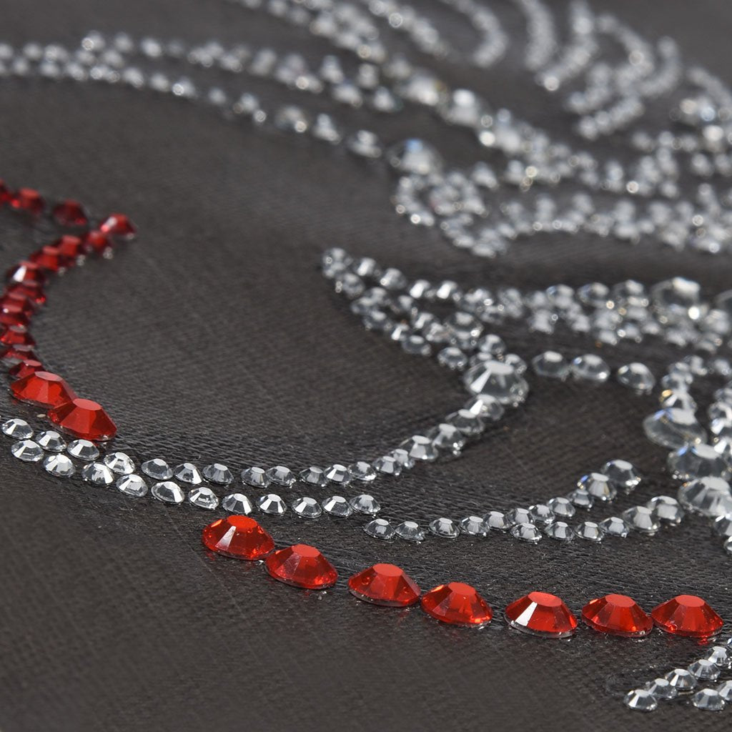 Glanzend HKunst Duiven - speciaal diamond painting