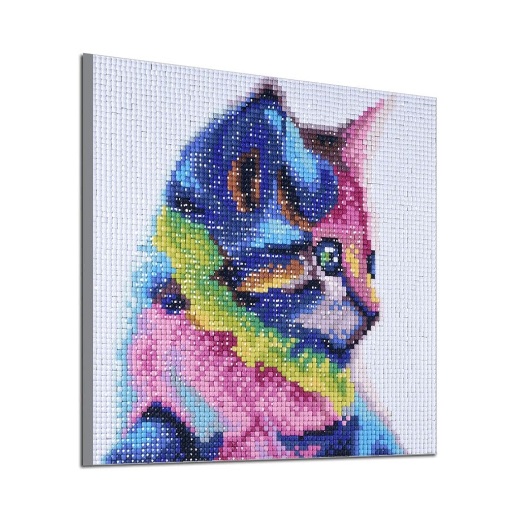 Lief Kat - speciaal diamond painting