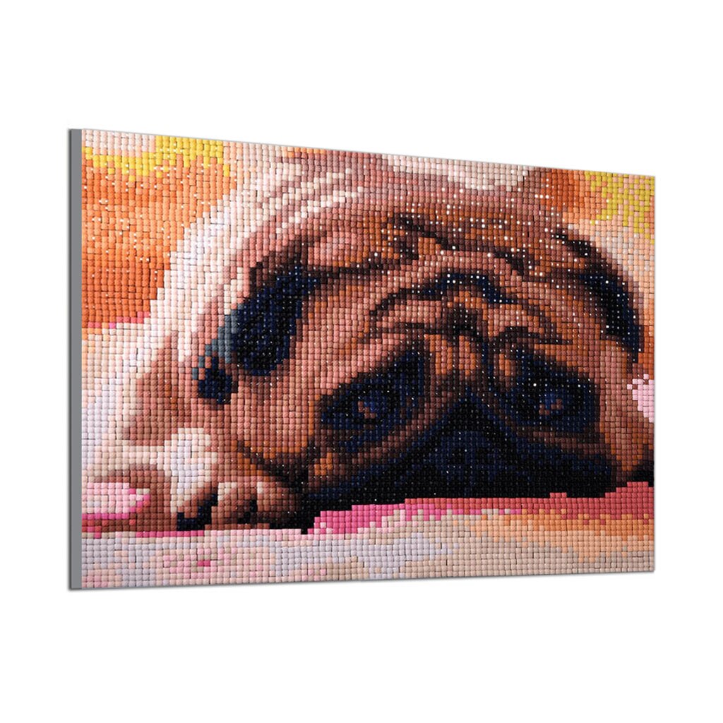 Lui Hond - speciaal diamond painting