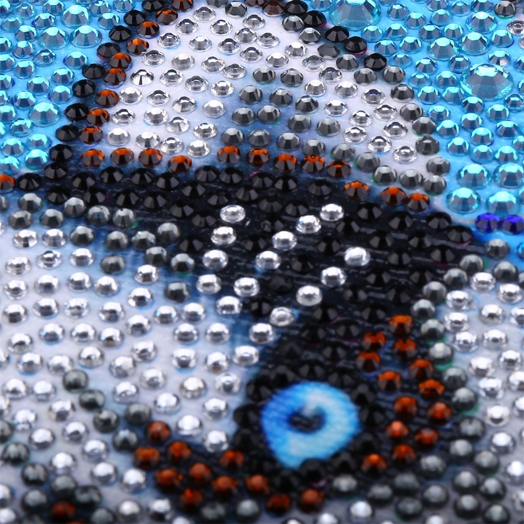 Schattige Husky - speciaal diamond painting