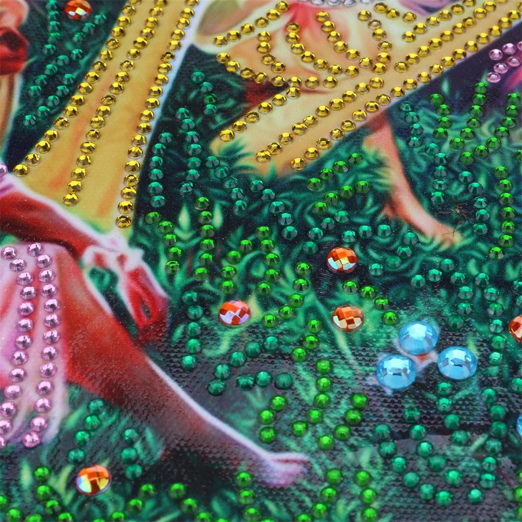 Fee-Land - speciaal diamond painting