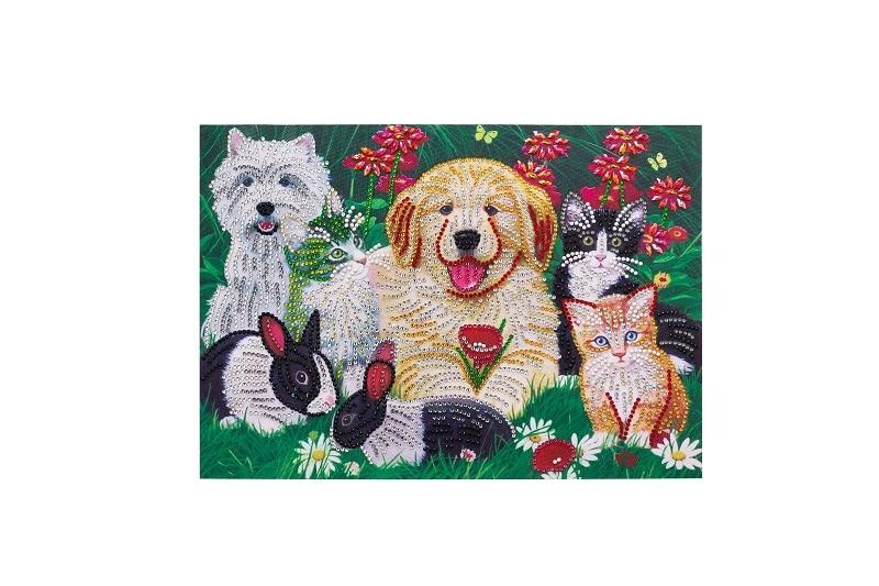 huisdieren vereniging - speciaal diamond painting