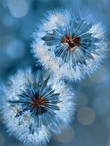 Glanzende paardebloem diamond painting