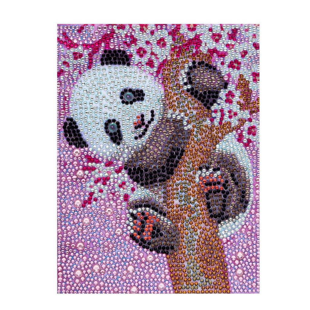 De droom van een panda speciaal Paint By Diamond set