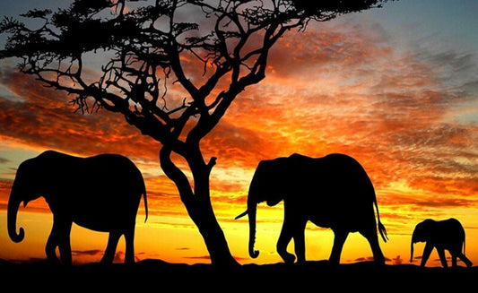 African Elephant Family Paint by Diamonds