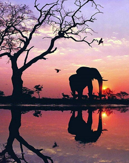 African Elephant & Sunset View Diamond Painting