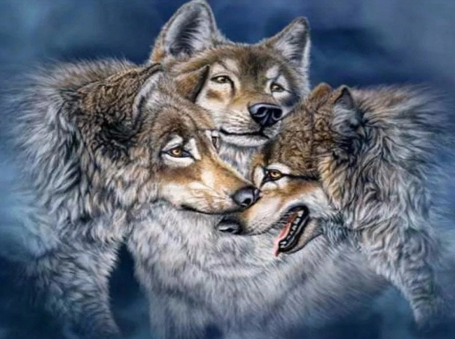 Alaskan Tundra wolves Paint by Diamonds