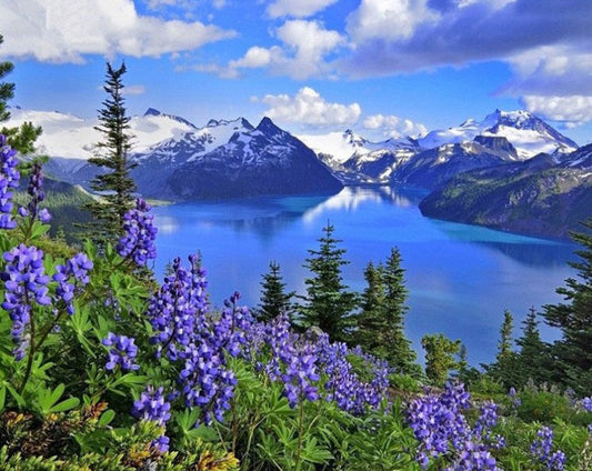Amazing Mountains View & Blue Flowers Diamond Painting