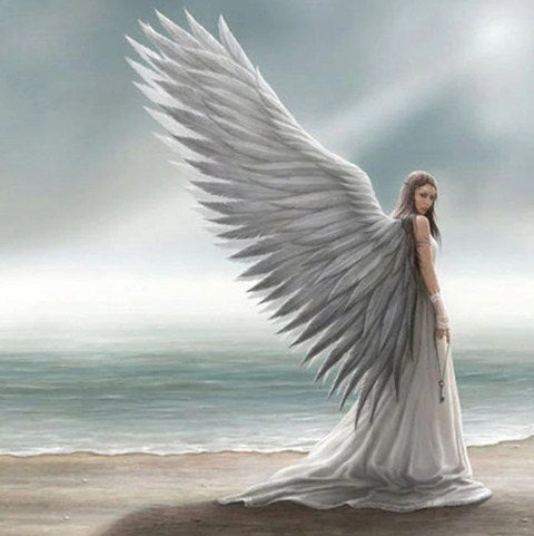 Beautiful Angel Paint by Diamonds