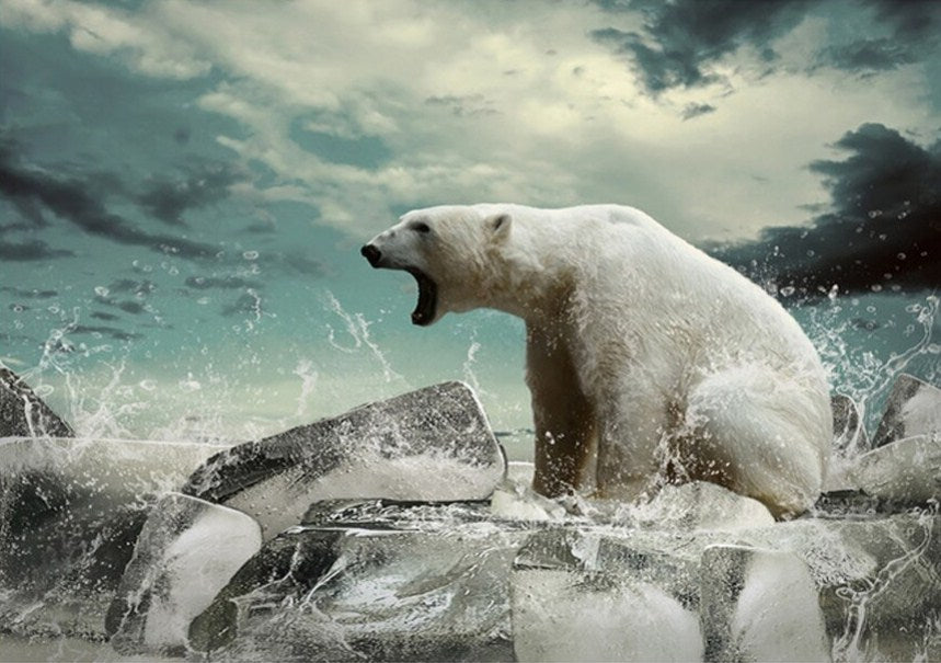 Angry Polar Bear Paint by Diamonds
