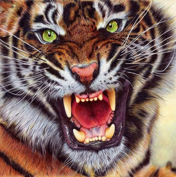 Angry Tiger Diamond Painting Kit
