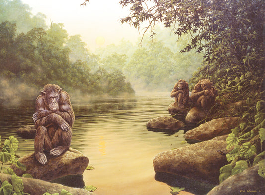 Chimpanzee Group - Kaibab National Forest