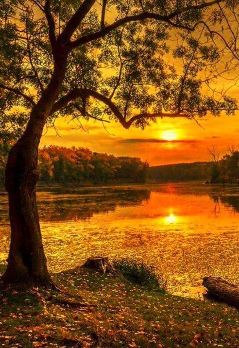 Autumn Evening & Setting Sun Diamond Painting