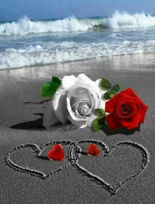 Beach Roses Paint by Diamonds