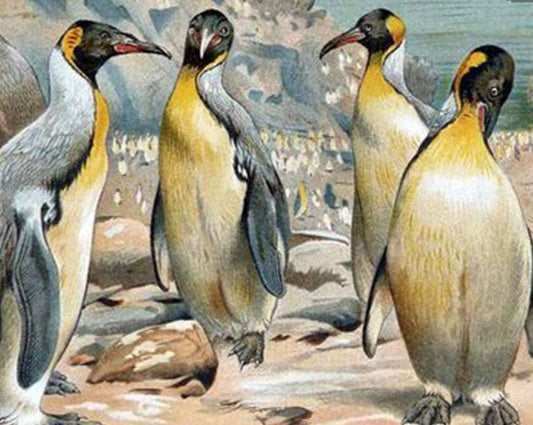 Beautiful Penguins Diamond Painting Kit