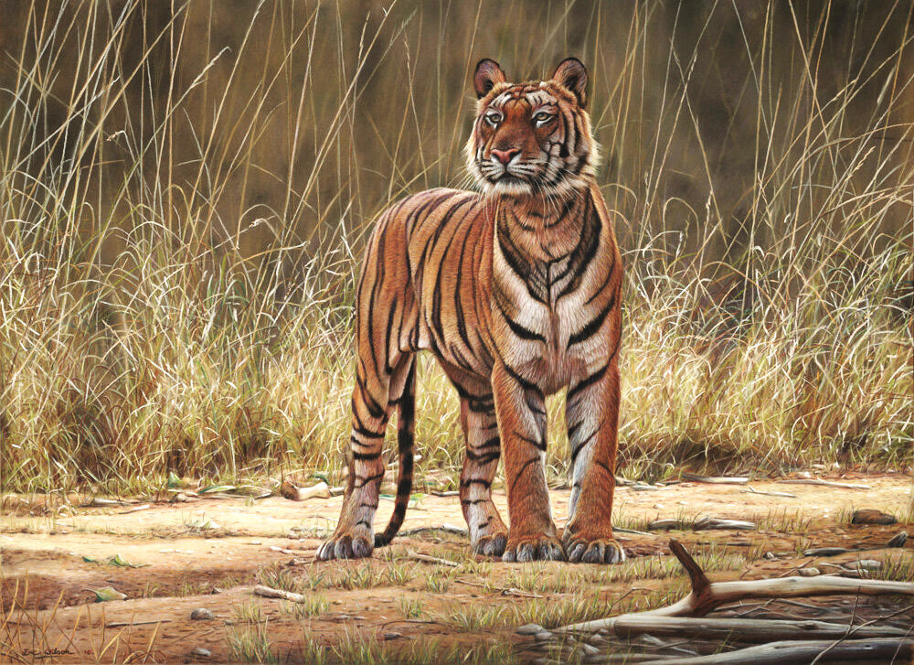 Bhoka Tiger Diamond Painting