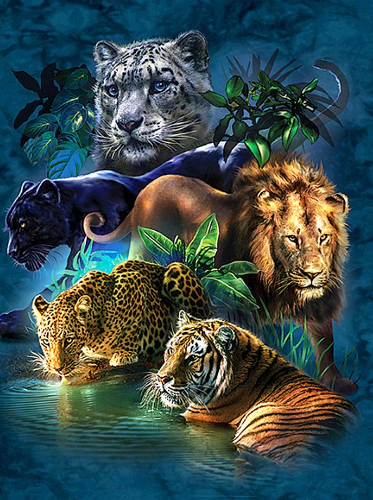 Geweldige Dieren Diamond Painting | Diamond Painting – Happy Painting Geweldige Dieren Diamond Painting | Diamond Painting – Happy Painting
