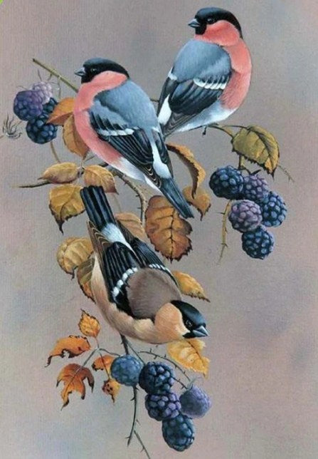 Birds on Berries Tree Paint by Diamonds