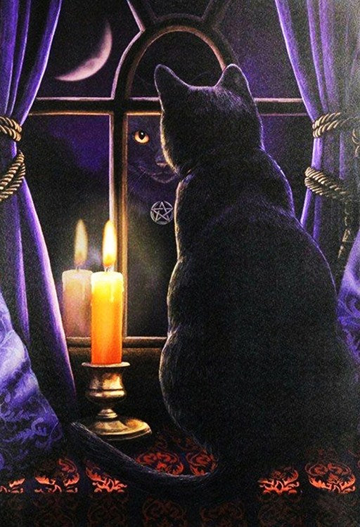 Black Cat & Candle in the Window Diamond Painting