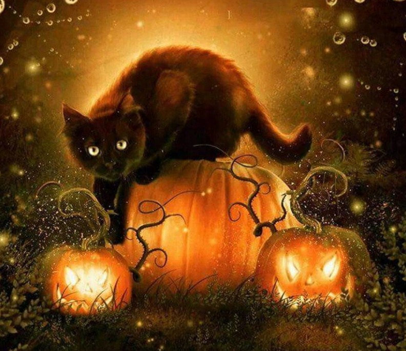 Black Cat & Halloween Pumpkins Diamond Painting