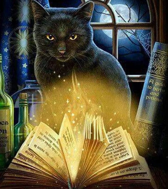 Black Cat & Magic Book Paint by Diamonds