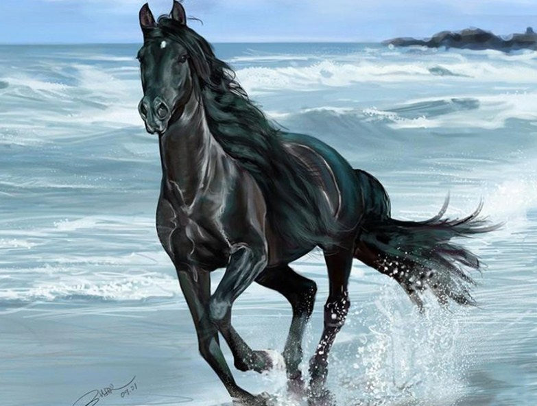 Black Horse Running in Water Diamond Painting