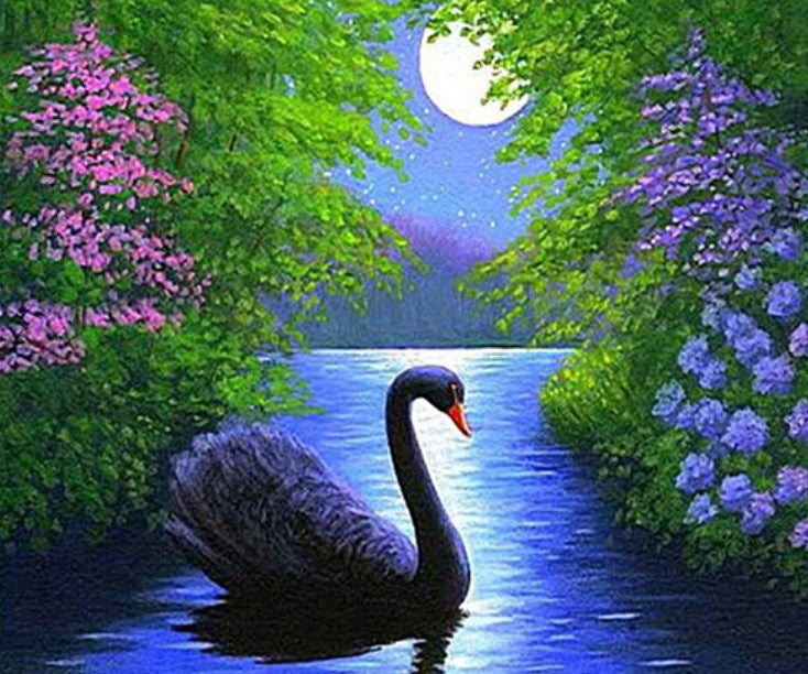 Black Swan in Water Diamond Painting