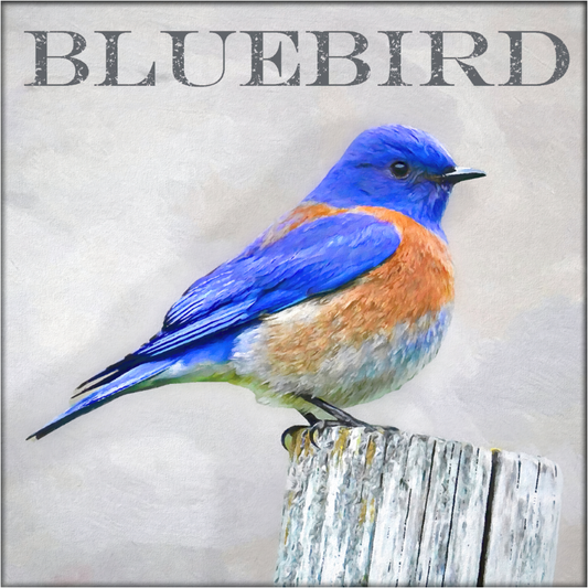Blauwe vogel - Kunst door Denise Dundon