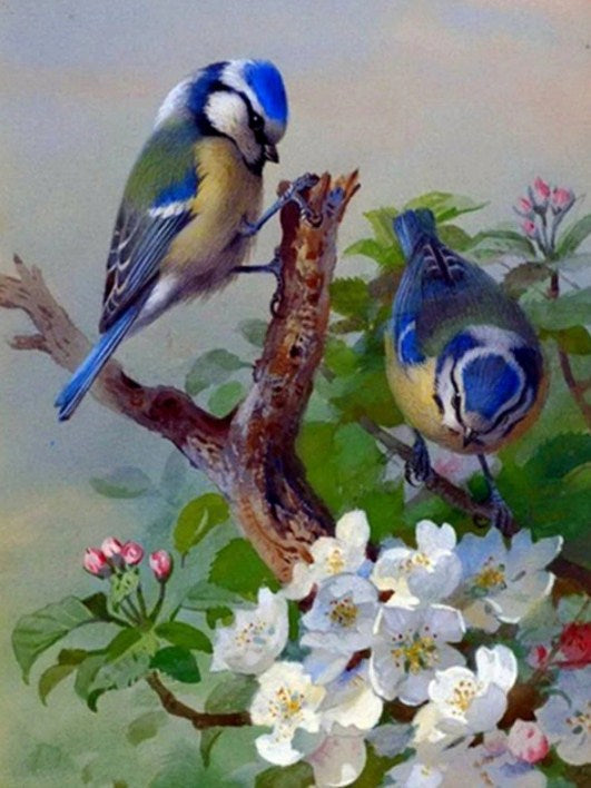 Blue Sparrows & White Flowers Diamond Painting