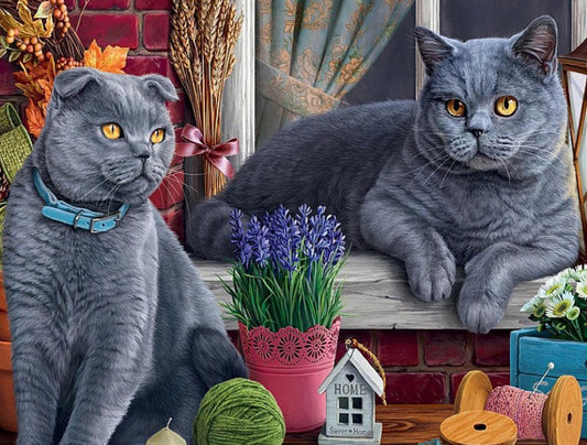 British Short Hair Cats Diamond Painting