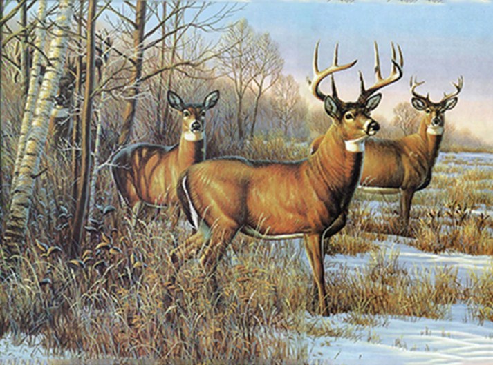 Buck Deer and Doe Paint by Diamonds