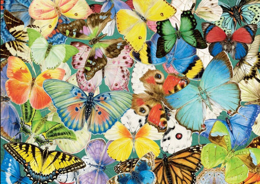 Butterfly Species Paint by Diamonds