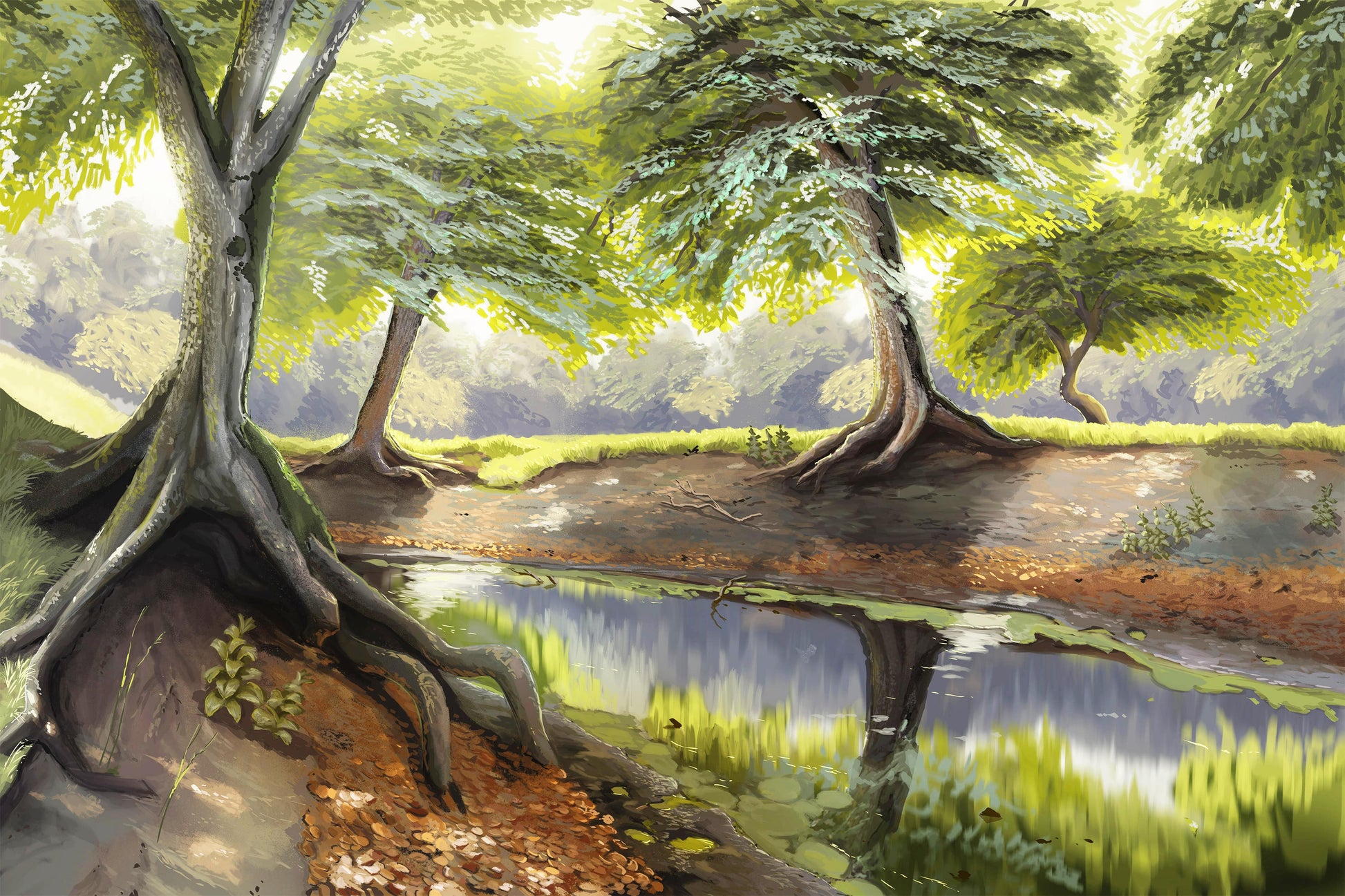 Shady trees Diamond Painting