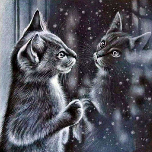 Cat Admiring Her Reflection Diamond Painting