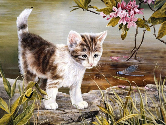 Cat & Dragon Fly Paint by Diamonds