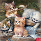 Cats Vierkante diamanten Painting Kit