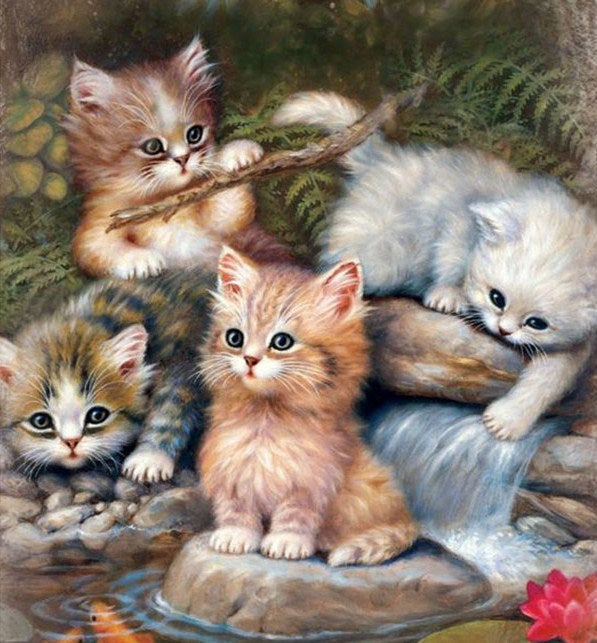 Cats Vierkante diamanten Painting Kit