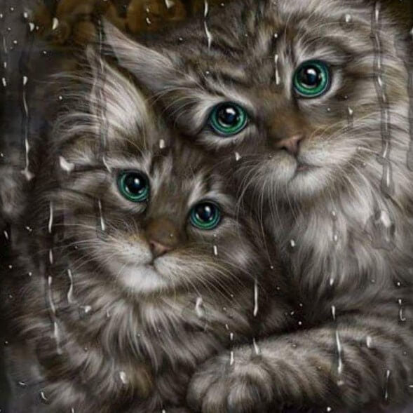 Cats Paint by Diamonds