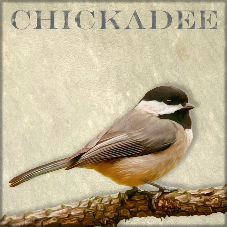 Chickadee - Kunst door Denise Dundon