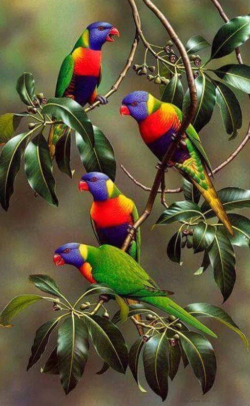 Kleurrijke papegaaien op boomtakken