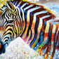Colorful Zebra Diamond Painting Kit