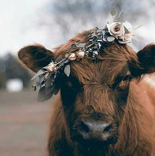 Cow Wearing Flowers Crown diamond Painting